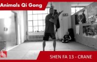 Intermediate 5 Animals Shen Fa 13 – Crane  – Online Class 113