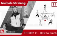 FIVE ANIMALS – THEORY 11: How to practice?￼￼