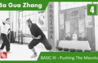04. Ba Gua Zhang – Basic III Pushing The Mountain Legs Arms and Full Exercise