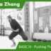 04. Ba Gua Zhang – Basic III Pushing The Mountain Legs Arms and Full Exercise
