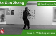 Ba Gua Online Program 04 – BASIC I IV – Drilling the 4 Essentials