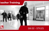 Teacher Training SIII 02 – STYLES