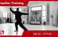 Teacher Training SIII 03 – STYLES