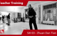 Teacher Training SIII 03 – Zhuan Dan Tian Three Inner Circles
