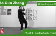 Ba Gua Online Program 08 – Palm II – The golden snake twist around the willow