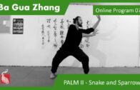 Ba Gua Program 07 – Palm II – Basic 1 Snake and Sparrow