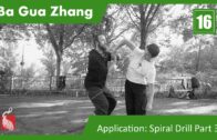 16. Application System: Spiral Drill Step 3 – The white snake spits poison