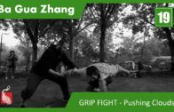19. Application System: Grip Fight – Cross Side Pushing The Clouds