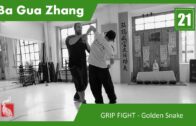 21.Application System – GRIP FIGHT – Same Side 2 Golden Snake