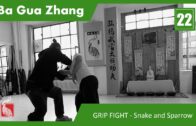 22.Application System – GRIP FIGHT – Cross Side 2 Sparrow and Snake compete for food