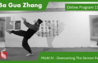 Ba Gua Online Program 11 – PALM IV – Overcoming The Demon Pack