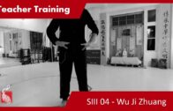 Teacher Training SIII 04 – Hui Chun Bao Yuan Shou Yi and Wu Ji