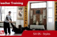 Teacher Training SIII 05 – STYLES