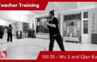 Teacher Training SIII 05 – Wu Ji Zhuang and Qian Kun Ban Yun