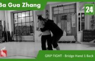 24.Application System: GRIP FIGHT – Bridge Hand 1 Green Dragon