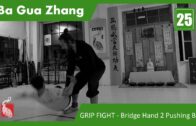 25.Application System: GRIP FIGHT – Bridge Hand 1 Pushing The Boat