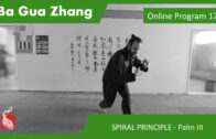 Ba Gua Online Program 17 – SPIRAL LEG PRINCIPLE – Palm III