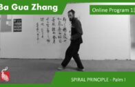 Ba Gua Program 13 – SPIRAL PRINCIPLE – Yin Yang Shou Dan and Palm I
