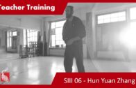 Teacher Training SIII 06 – Hun Yuan Zhuang and Three Treasures