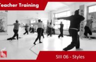Teacher Training SIII 06 – STYLES