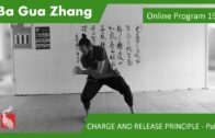 Ba Gua Online Program 19 – CHARGE AND RELEASE – Palm Change and Palm I