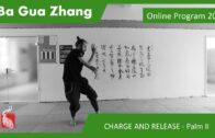 Ba Gua Online Program 20 – CHARGE AND RELEASE – Pushing Mountain and Palm II