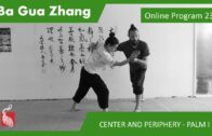 Ba Gua Online Program 23 – CENTER AND PERIPHERY – Pushing The Mountain and Palm I