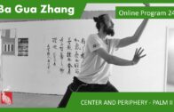 Ba Gua Online Program 24 – Center and Periphery – Palm Change and Palm II