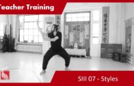 Teacher Training 07 SIII – Styles