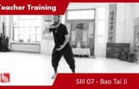 Teacher Training SIII 07 – Bao Tai Ji and Shou Gong