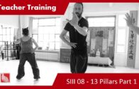 Teacher Training SIII 08 – Hun Yuan Yi Qi and Wu Ji – 13 Pillars Part 1