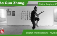 Ba Gua Online Program 25 – CENTER AND PERIPHERY – Mud Step and Palm III