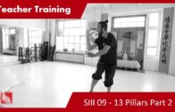 Teacher Training SIII 09 – Qian Kun Ban Yun Bao Tai Ji – 13 Pillar Qi Gong 2