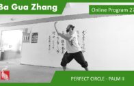 Ba Gua Online Program 27 – PERFECT CIRCLE – Palm Change and Palm II