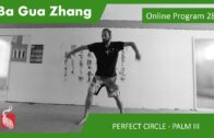 Ba Gua Online Program 28 – PERFECT CIRCLE – Pushing the Mountain and Palm III