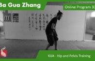 Ba Gua Online Program 30 – KUA Hip Joint and Pelvis Focus – Final Session