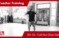 Teacher Training SIII 10 – Full Hui Chun Qi Gong Set – Grading Präparation