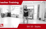 Teacher Training SIII 10 – Styles