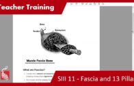 Teacher Training SIII 11 – Fascia Theory and 13 Pillar Qi Gong