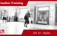 Teacher Training SIII 11 – Styles