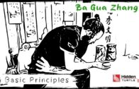 Basic Ba Gua Principles