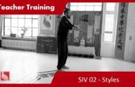 Teacher Training SIV 02 – Styles