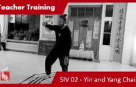 Teacher Training SIV 02 – Yin and Yang Expressions
