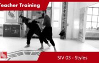 Teacher Training SIV 03 – Styles