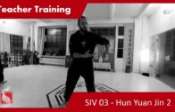 Teacher Training SIV 03 – The Center and Hun Yuan Jin II