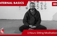 Internal Basics 03 – One Hour Sitting Meditation