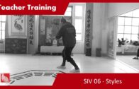 Teacher Training SIV 06 – Styles