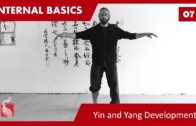 Internal Basics 07 – Bao Yuan Shou Yi – Hun Yuan Yi Qi – Yin and Yang Development