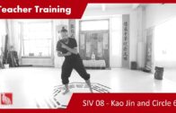 Teacher Training SIV 08 – Kao Jin and Hun Yuan Jin 6