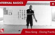 Internal Basics 11 – Shou Gong Closing Practice